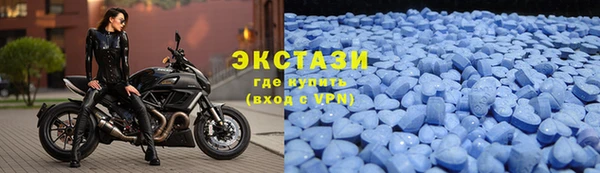 индика Карпинск