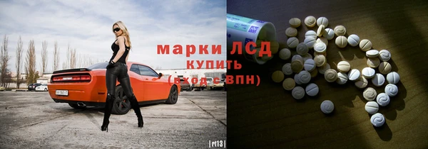 крисы Козловка