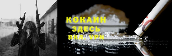 крисы Козловка