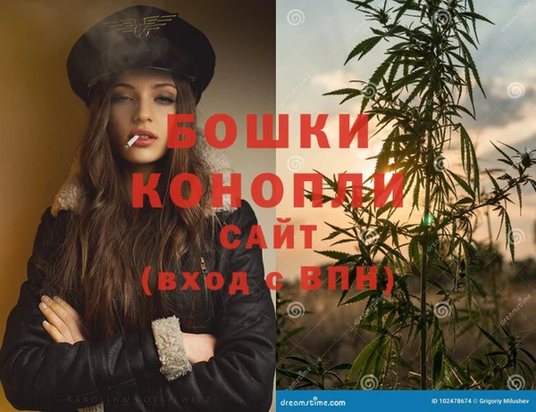 крисы Козловка