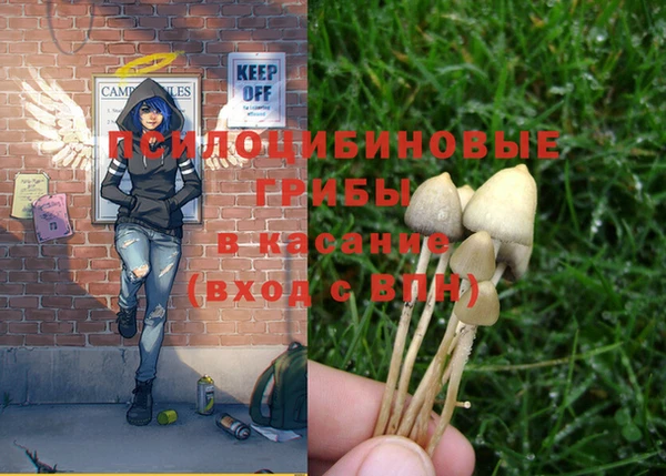 крисы Козловка