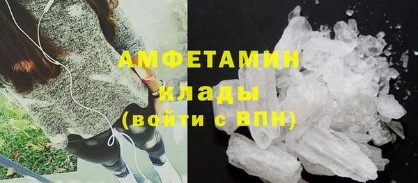 крисы Козловка