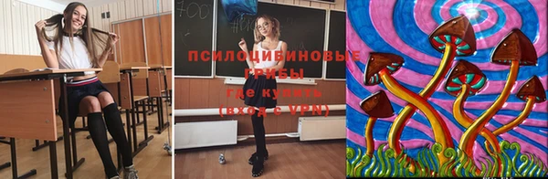 стаф Киреевск