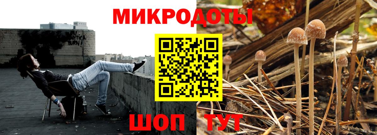 Крымск  Псилоцибиновые грибы Psilocybine cubensis  хочу   Вход с VPN 